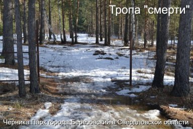 Березовский стал притоном наркоторговли и наркозависимости Березовский стал притоном наркоторговли и наркозависимости